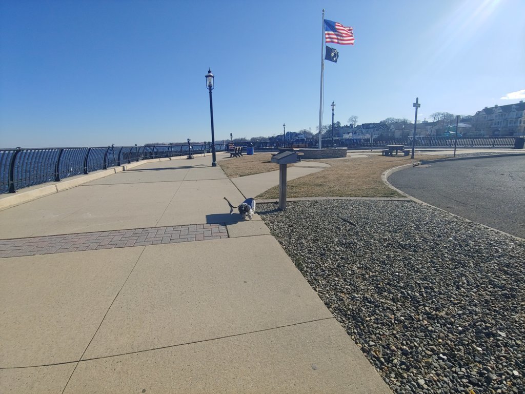 0303250948.jpg