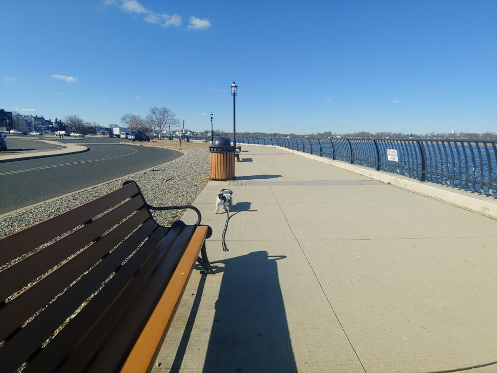 0303250948c.jpg