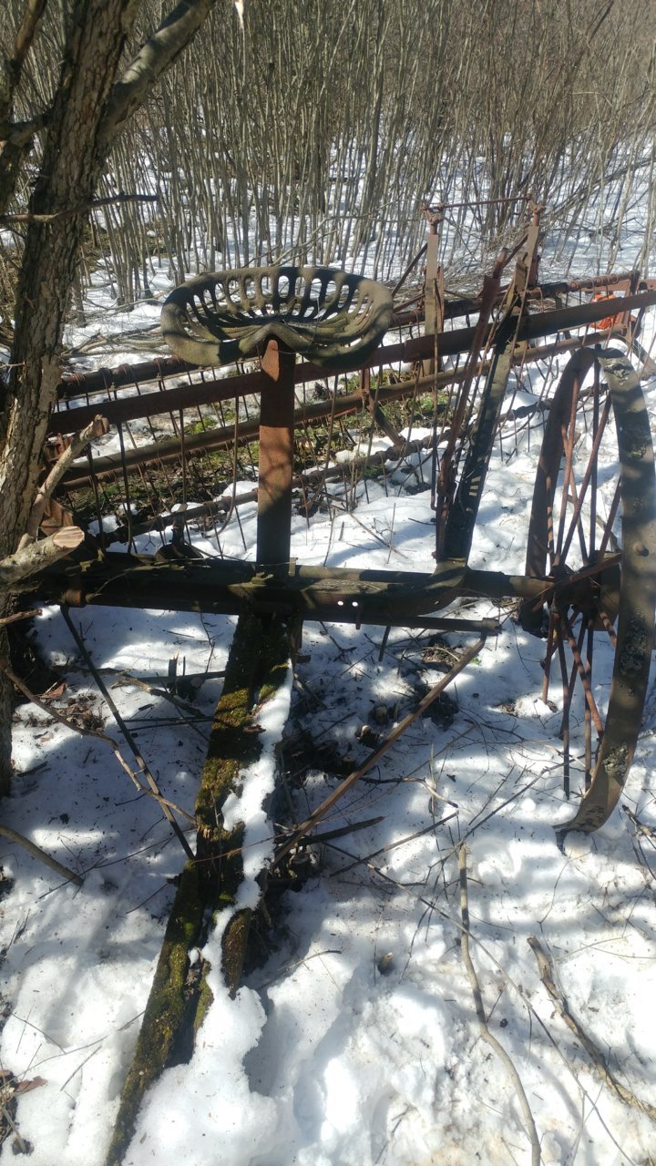0319181246a.jpg
