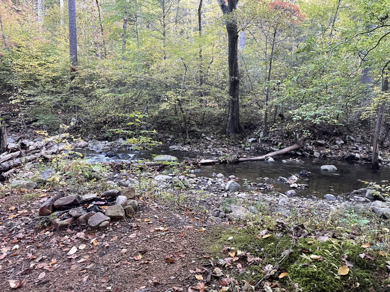 03E64294-7024-458E-8089-DCF5EA1230EB.jpg