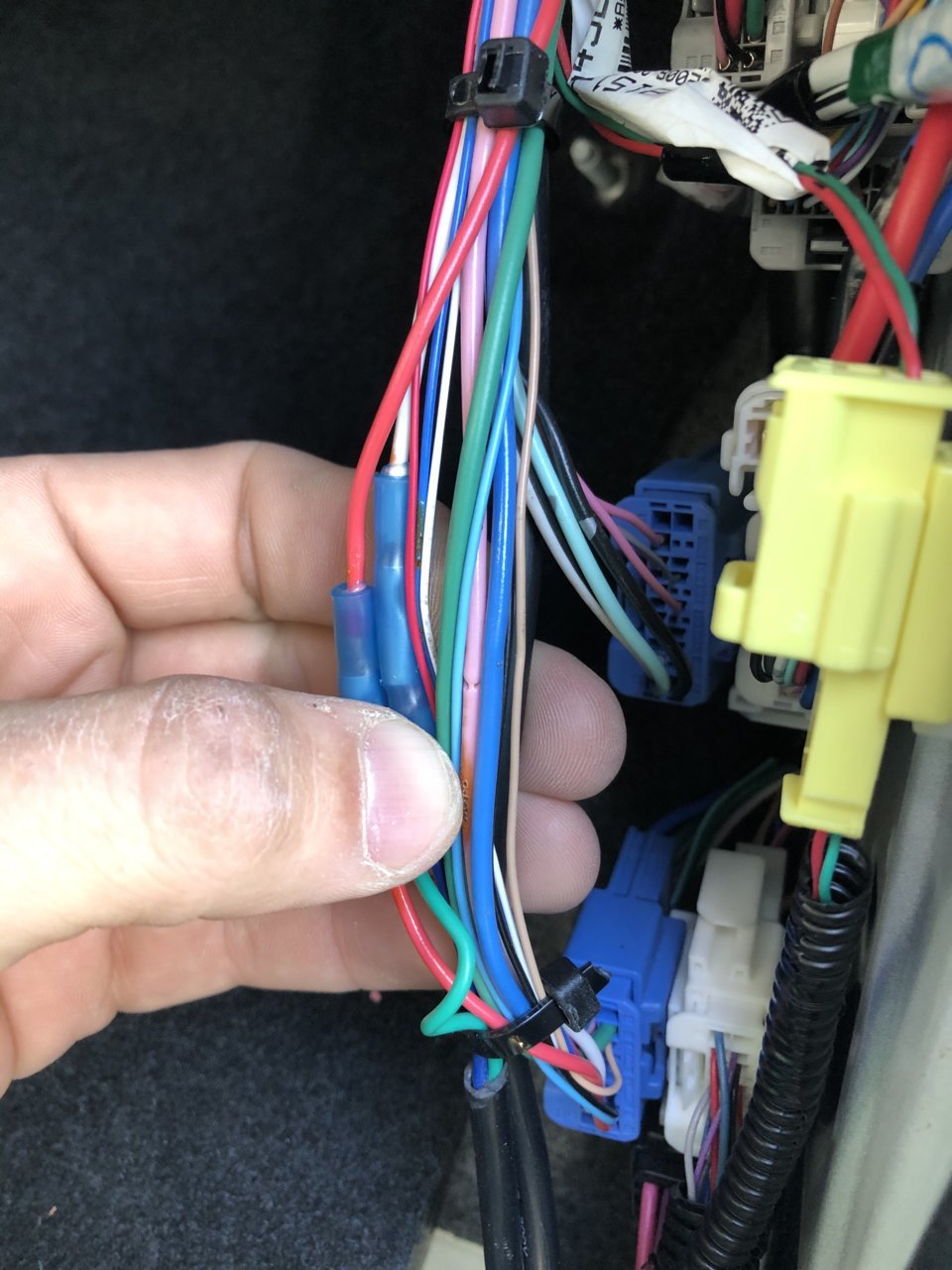 0443F5B7-00F2-4D20-B936-3D3C7771CC7F.jpg