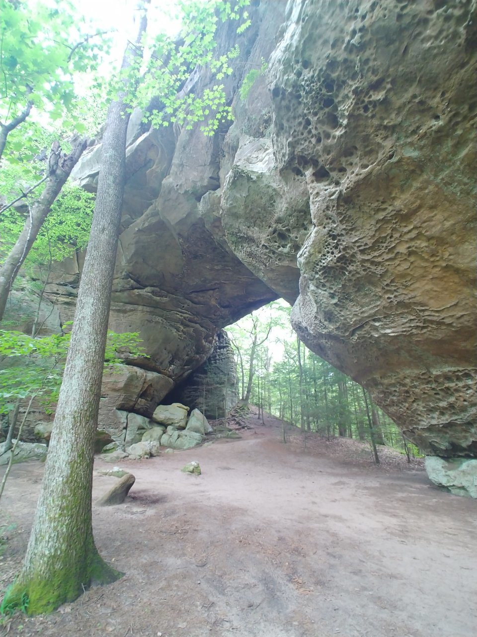 0524201236.jpg