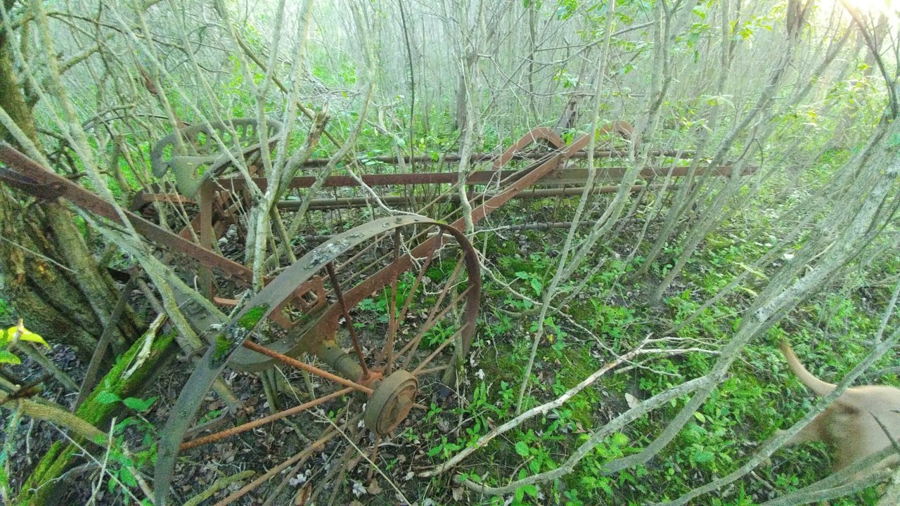 0527171954_Burst01.jpg