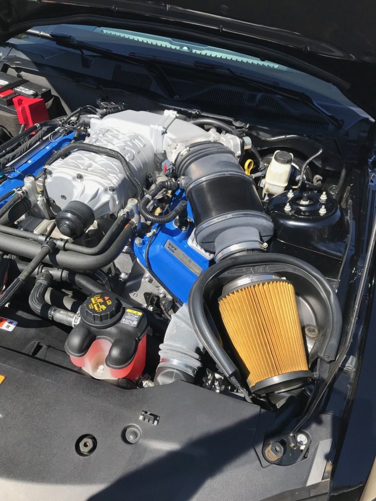 06cd7e83-cd5e-46ef-8fd7-4fba8fd25ef5.jpg