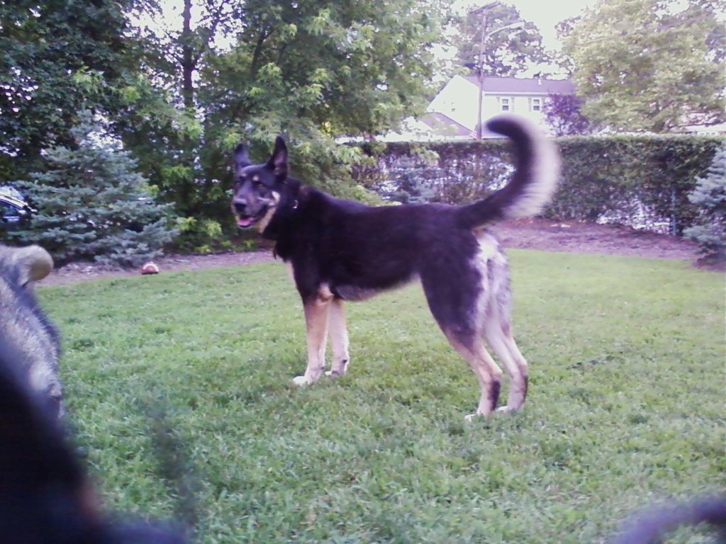 0704092010.jpg