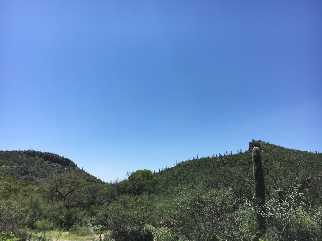 0772BF8A-FA4C-4CC0-9F5B-B1B779430F55.jpg