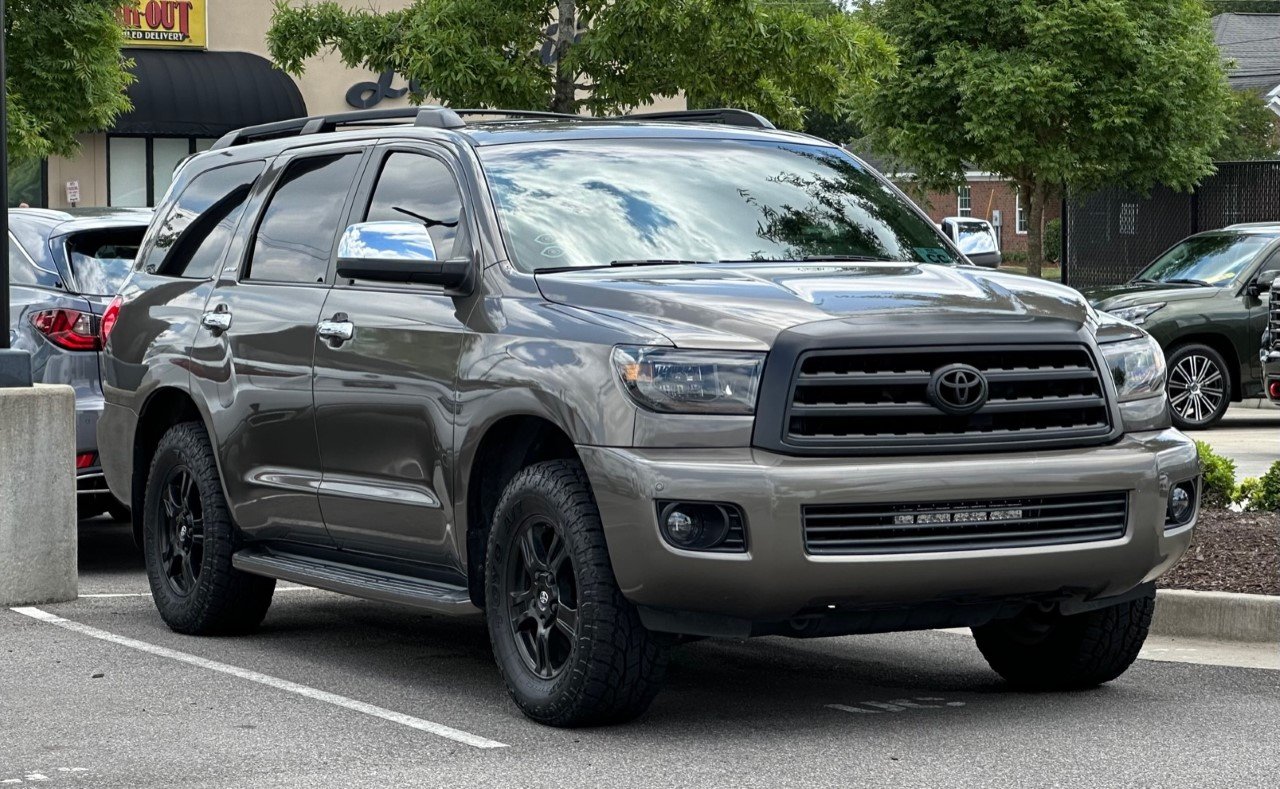08 Sequoia.jpg