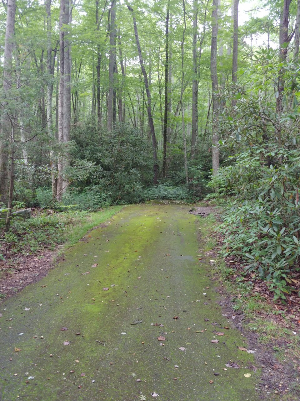 0822200856a.jpg