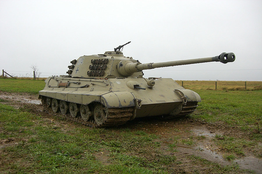 1-4-king-tiger-3244b.jpg
