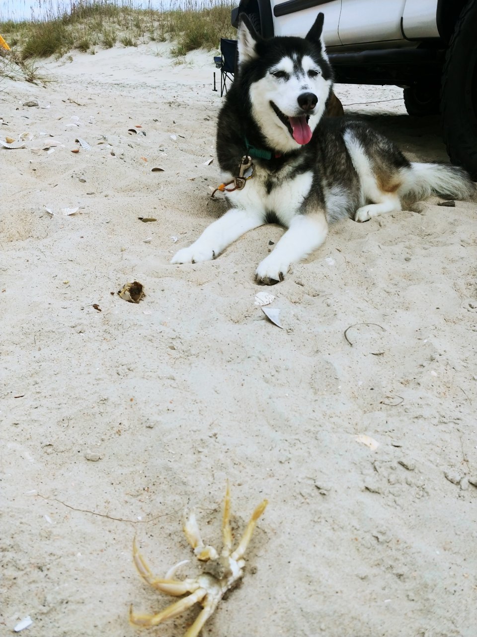 1004211108b.jpg
