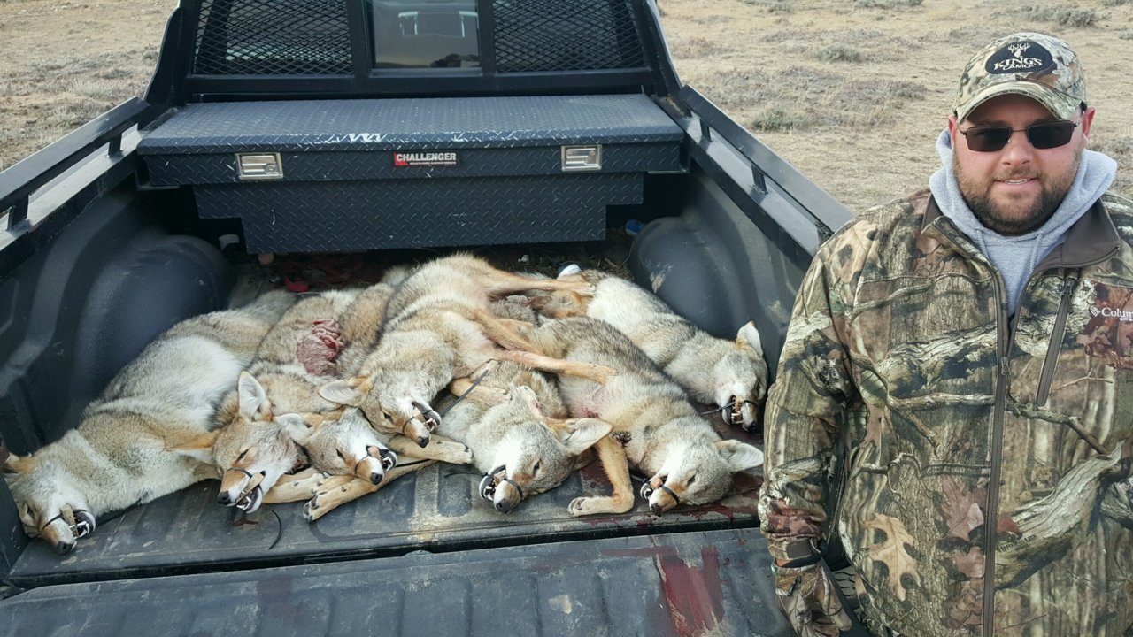11-6-2015 National Coyote Contest with dad killed 9 total - 1.jpg