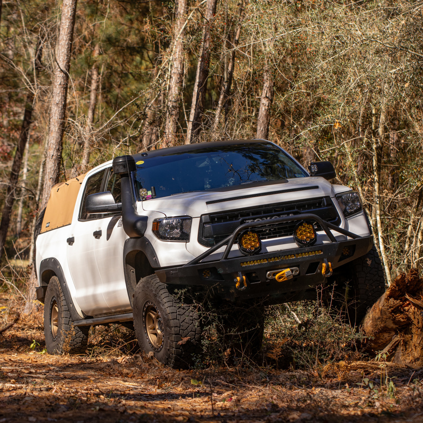 12 10 23 Tundra (37).jpg