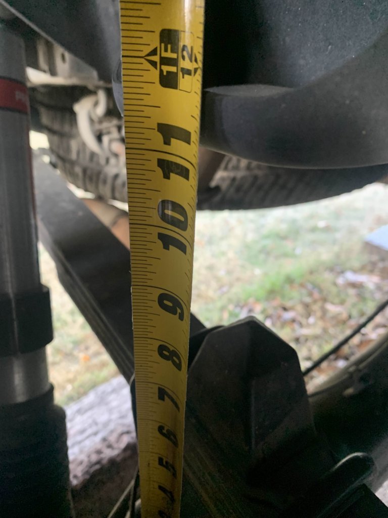 12 Inch measure.jpg
