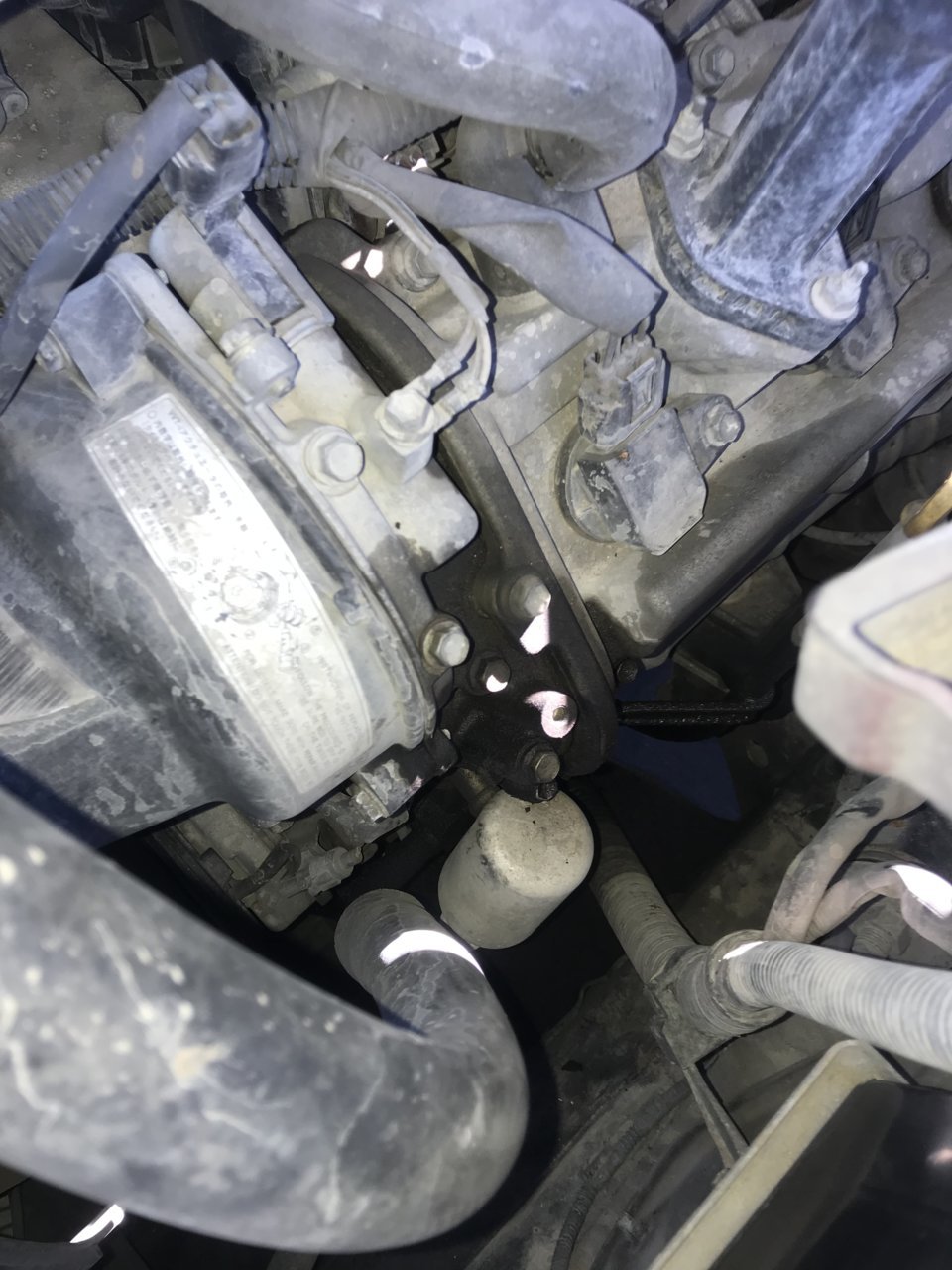 Oil Leak? | Toyota Tundra Forum