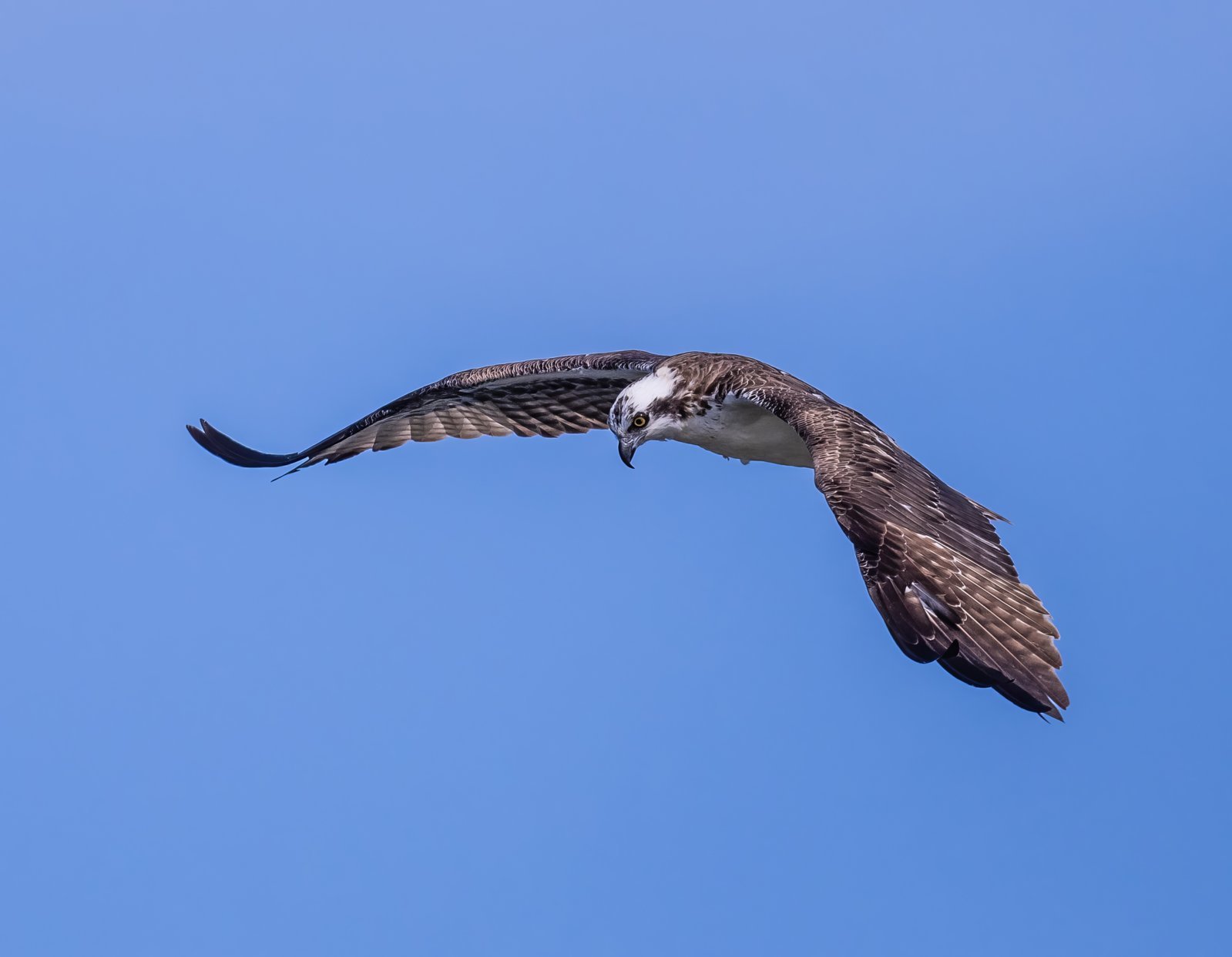 14caedeec57ab67fa083ac9432e39990 (1)-topaz-enhance.jpg