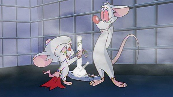 1523483291285-Pinky_and_Brain_smoke.jpg
