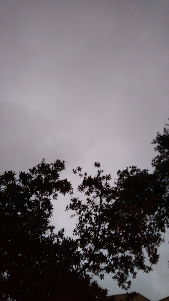 15364943104531439532690.jpg