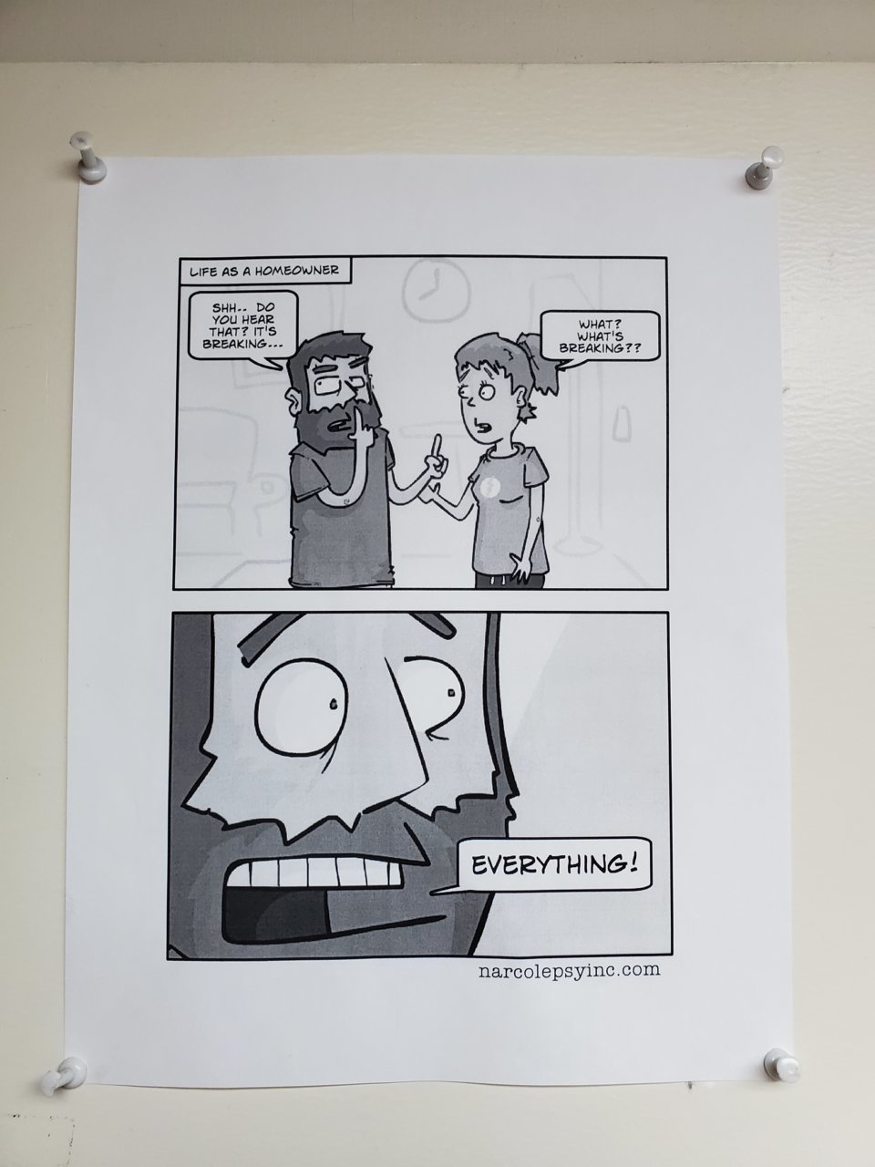 15633384135974151789543135830841.jpg