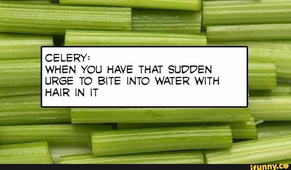 15914783c226ae56308f37b8fd892ad8b307db52a421e739918cebb3704936c9_1.jpg