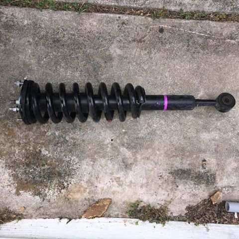 17883537_10211972507846621_6724200877838361076_n.jpg