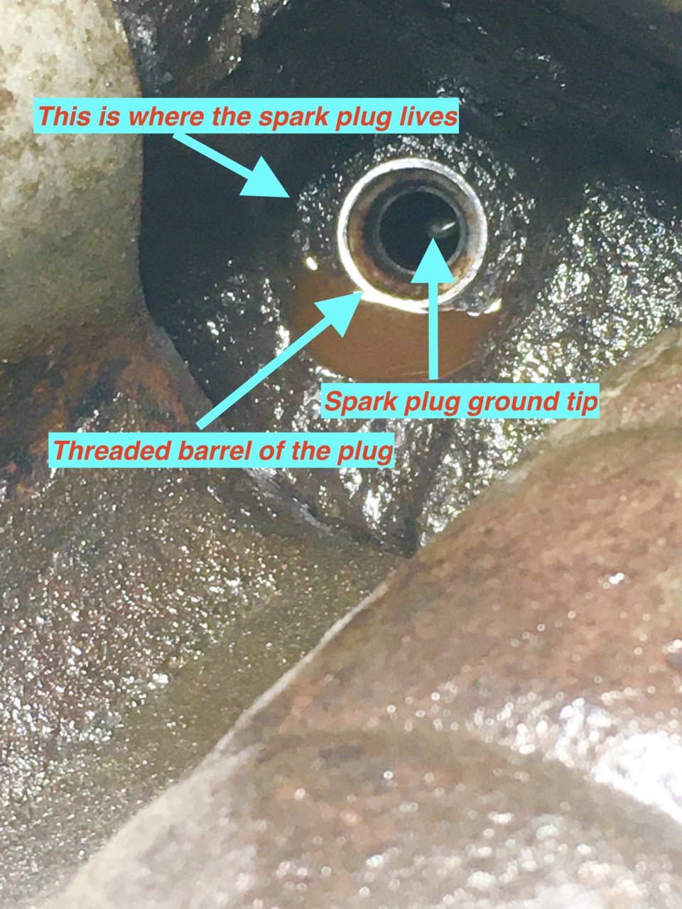 18CF5D5F-4EE7-42F1-AA06-22ED84F59B58_1_201_a.jpg
