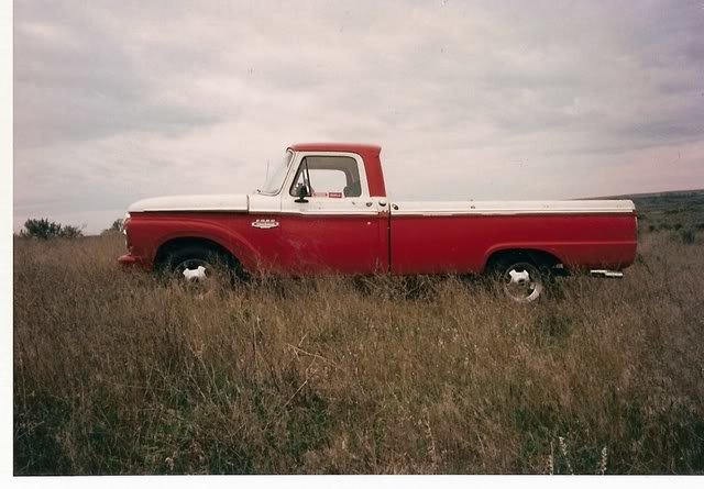 1966f100.jpg