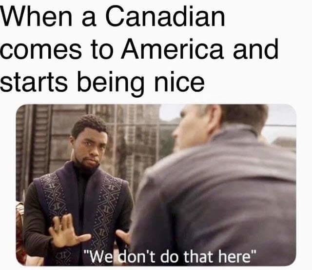 1dd.jpg