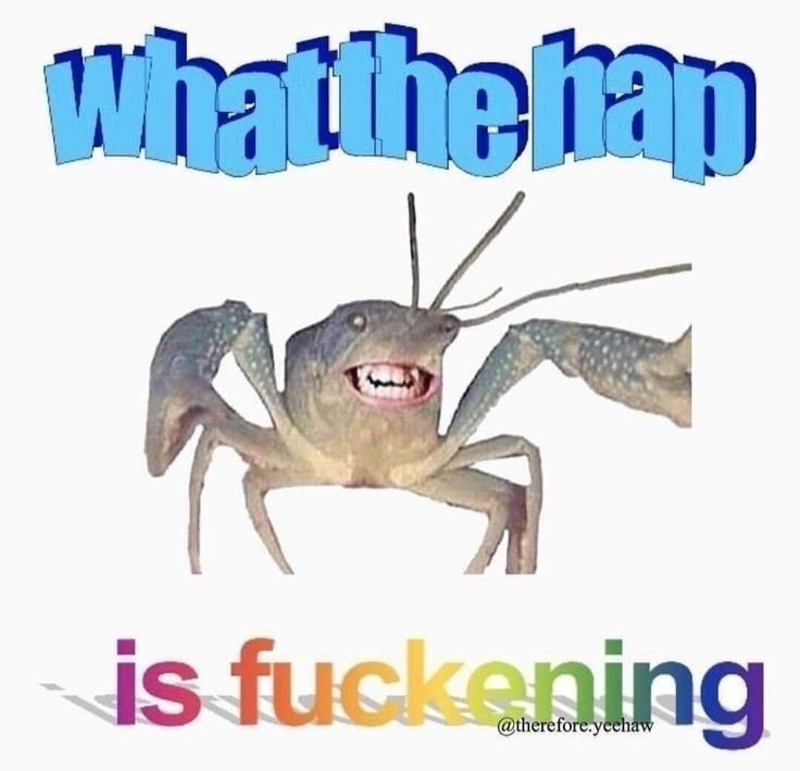 1df303f8d1e48f6bbc50d62958d55d591385817b4065449f7edf65cd34bc5fa4_1.jpg.jpg