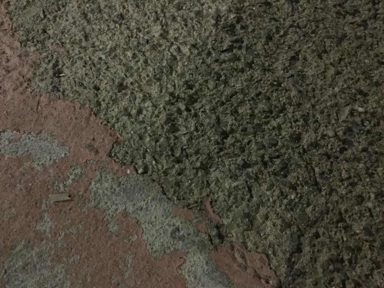 1E34D61B-5601-42C1-9DC1-27EF067CB047.jpg