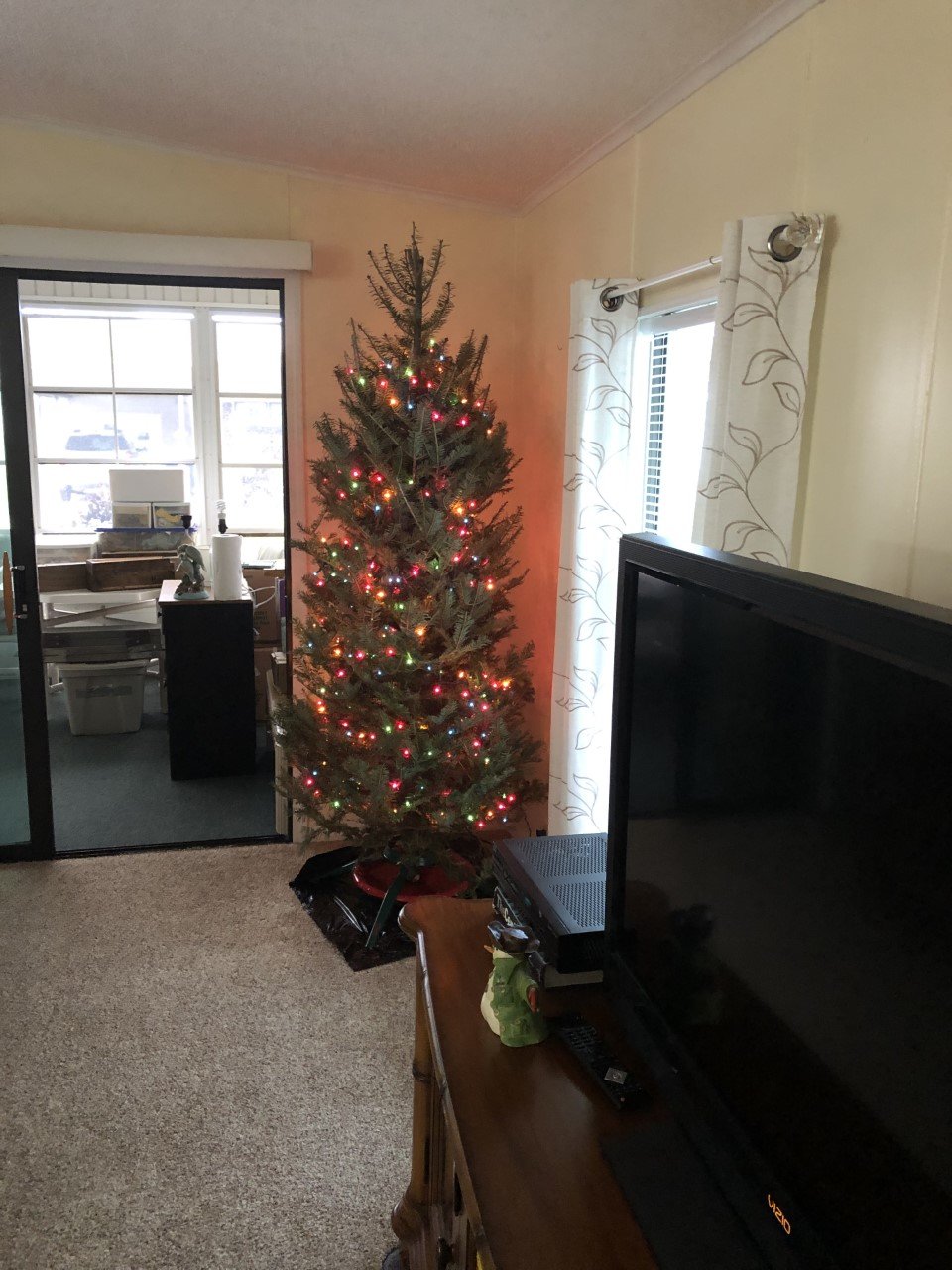 1st X-mas tree new house.jpg