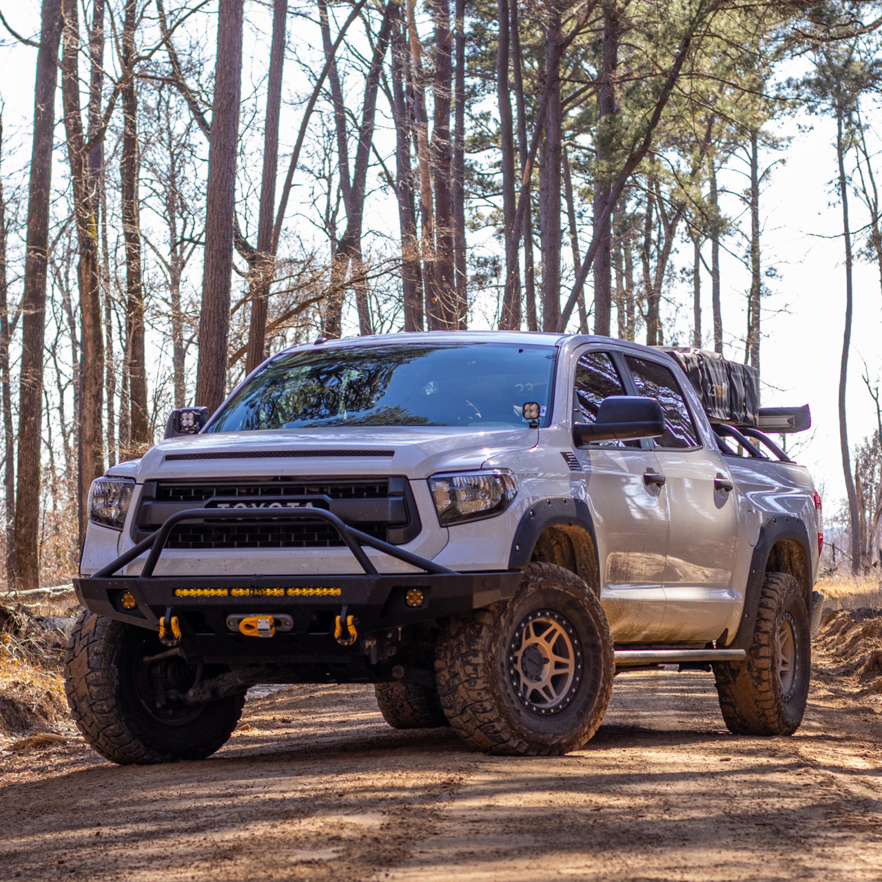 2 11 22 Tundra (6).jpg