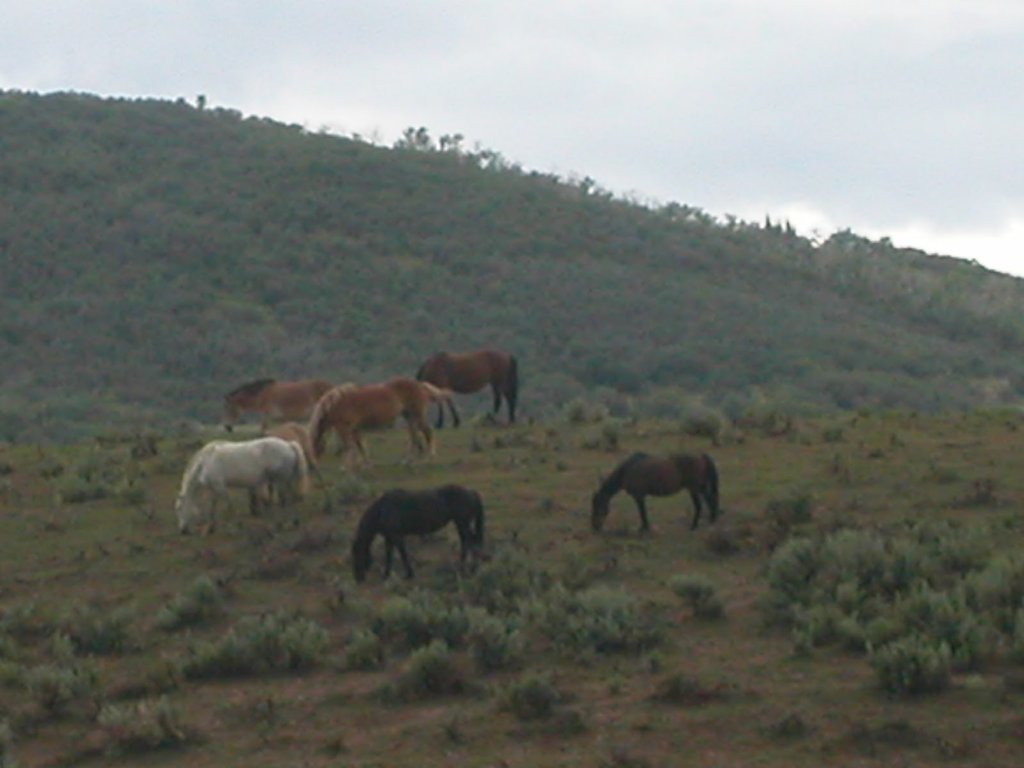 2002_01010148_Original.jpg