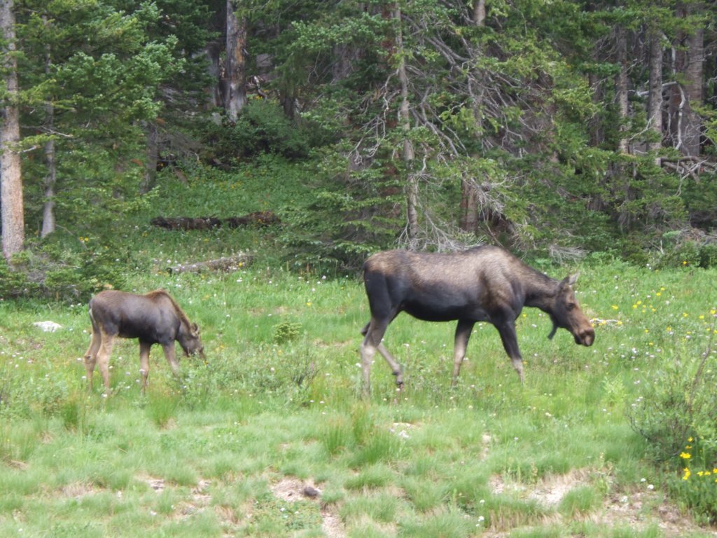 2005_03210108_Original.jpg