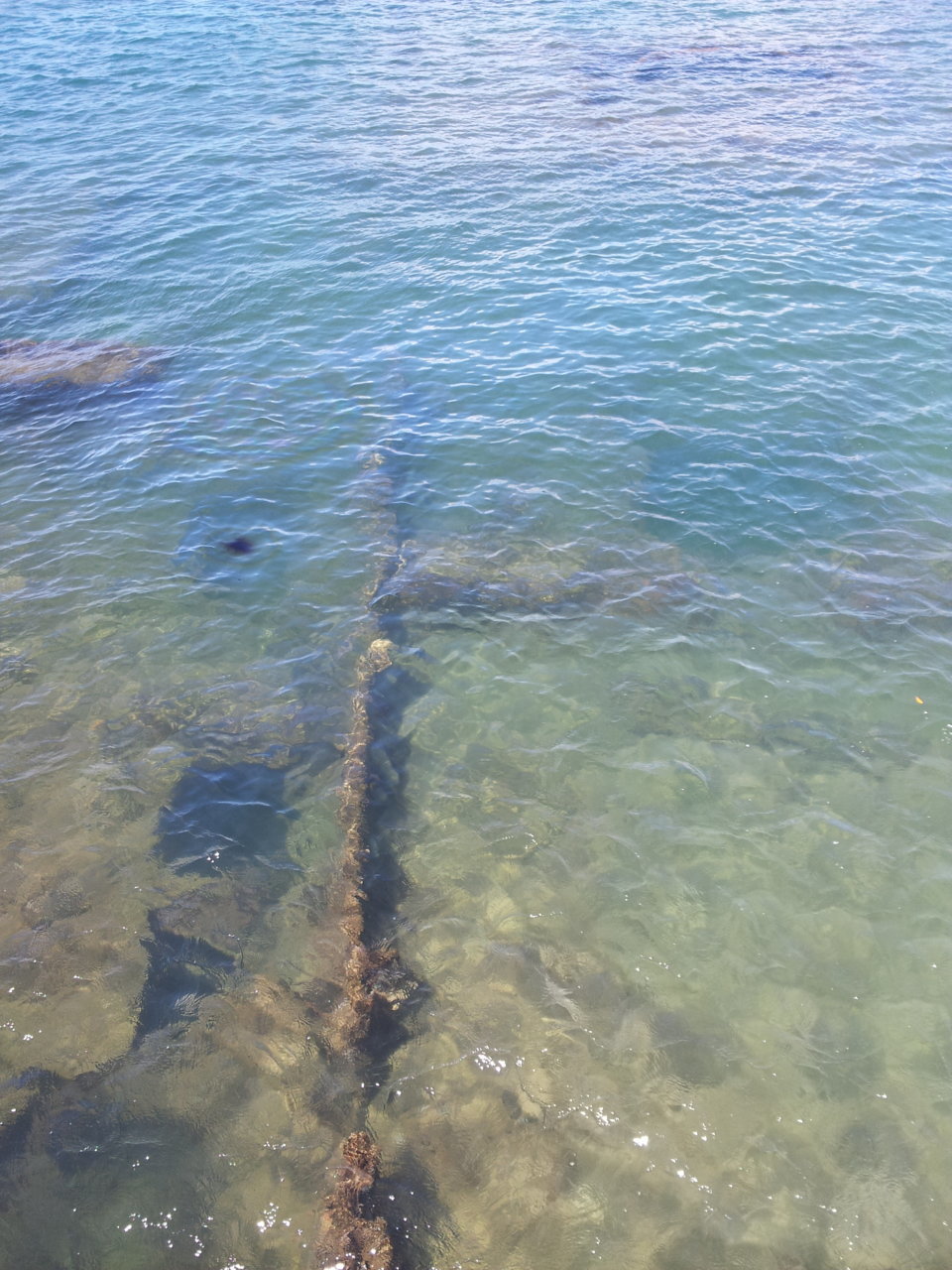 20130808_110555.jpg