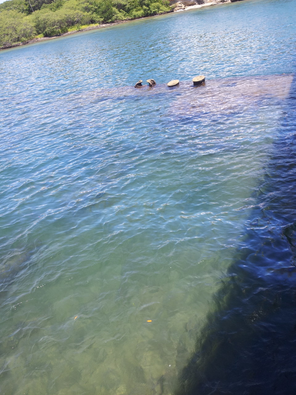 20130808_110602.jpg