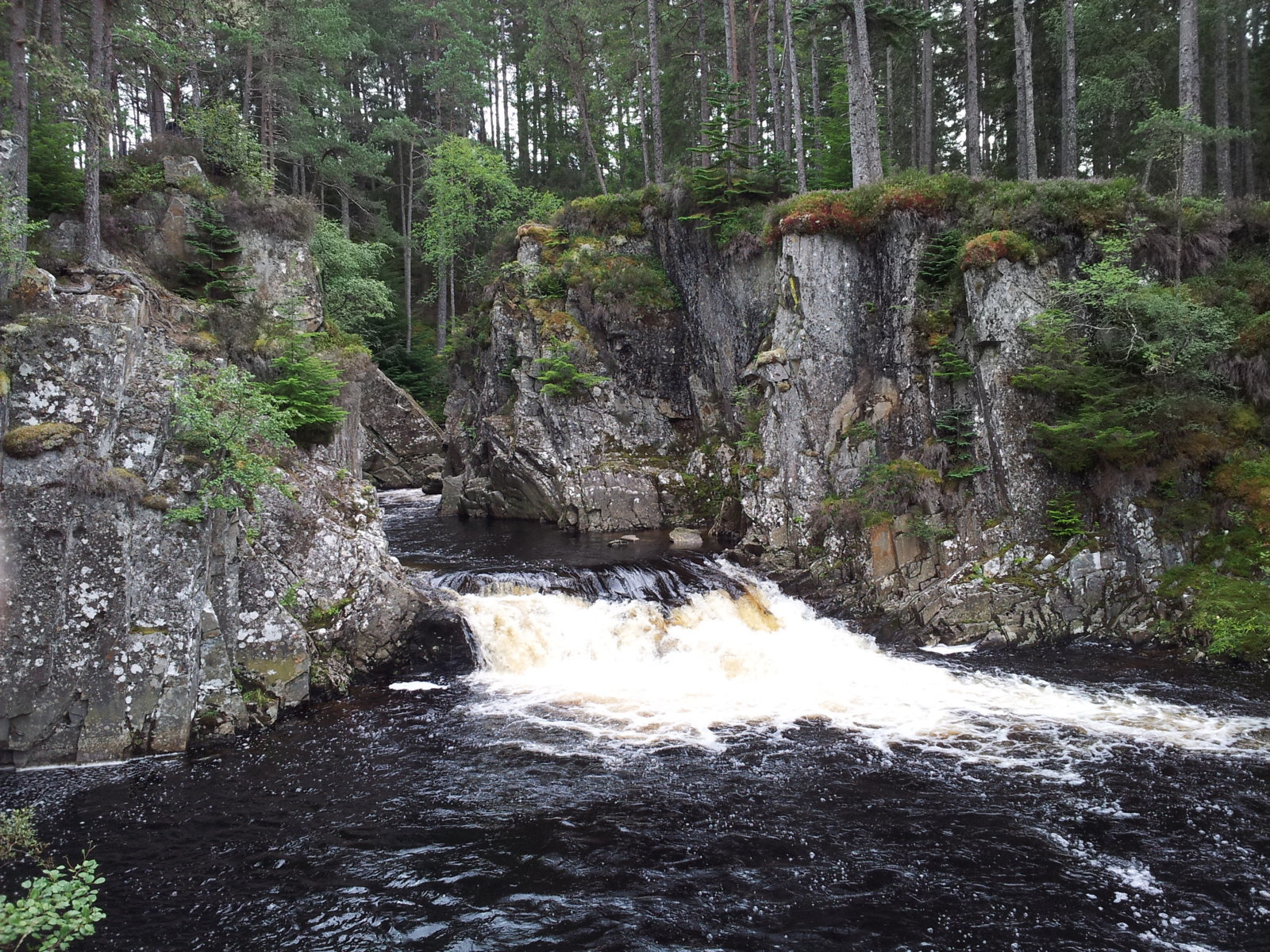 20140820_042144.jpg