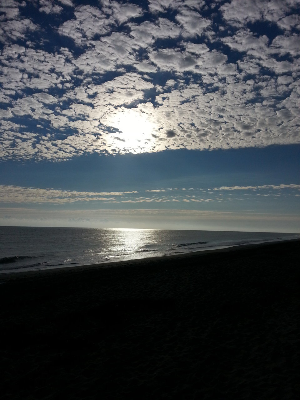 20141114_080450.jpg