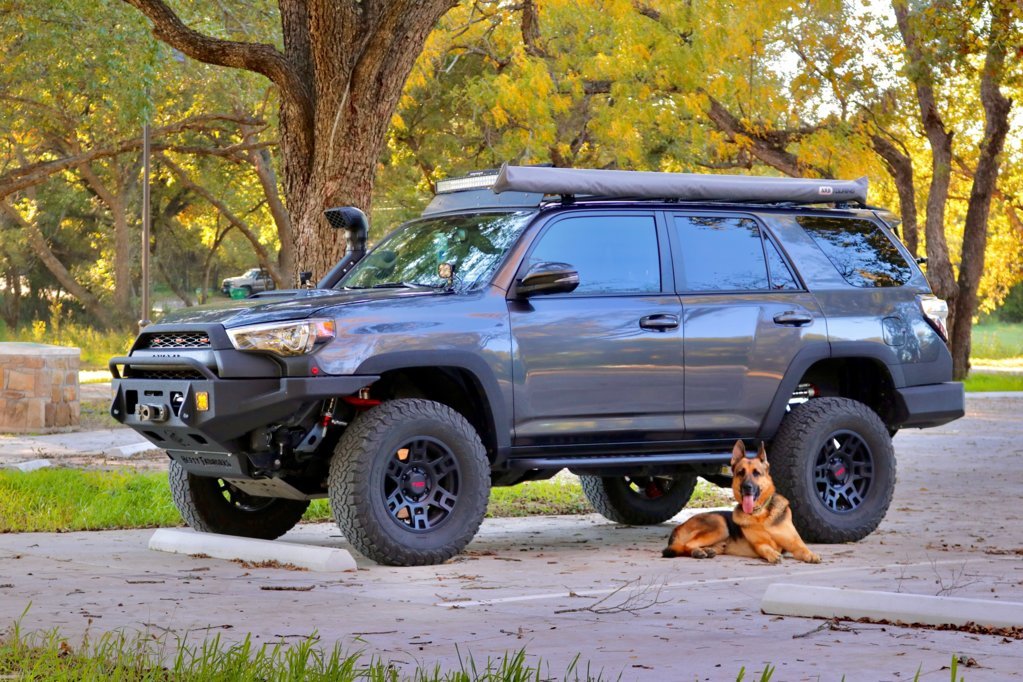 2015_4R_StephTX.jpg