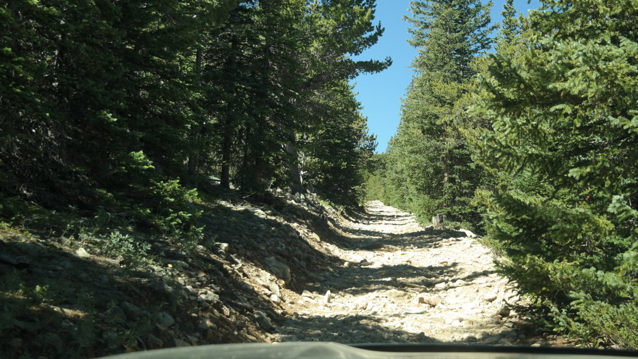 20160821_105505.jpg