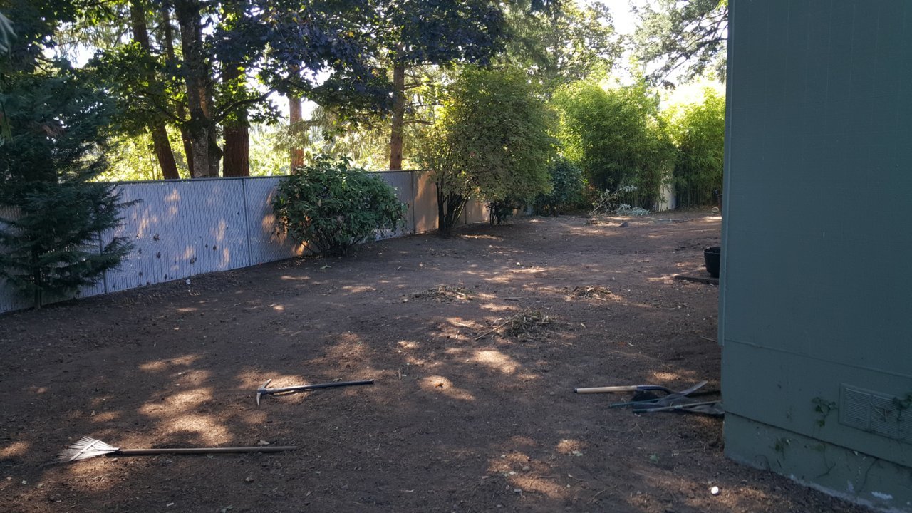 20160925_125105.jpg