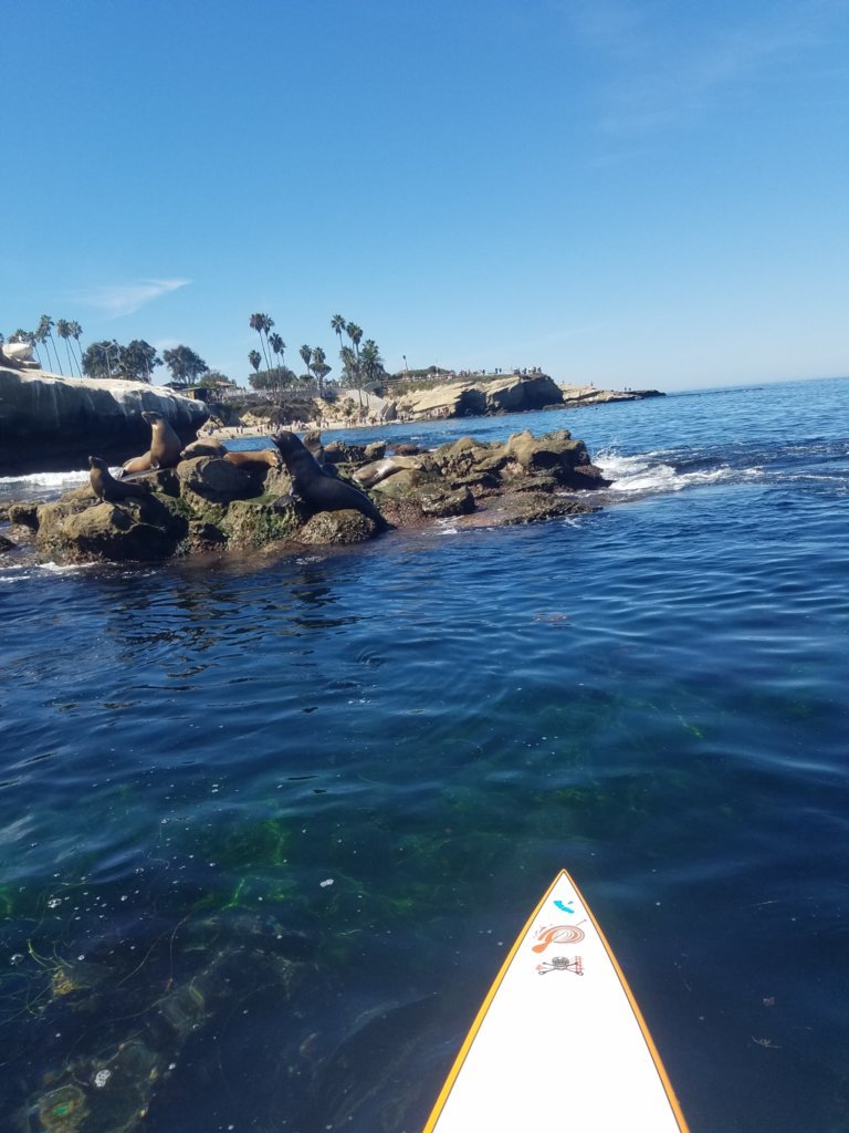 20161009_120854.jpg