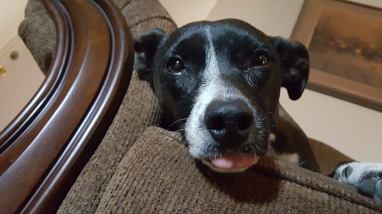 20161015_152104.jpg