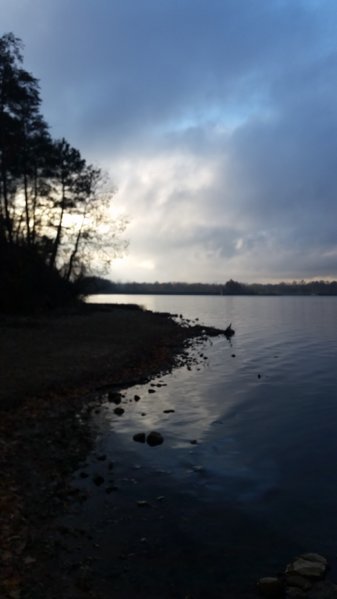 20161104_091915.jpg