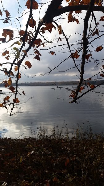 20161104_094050.jpg