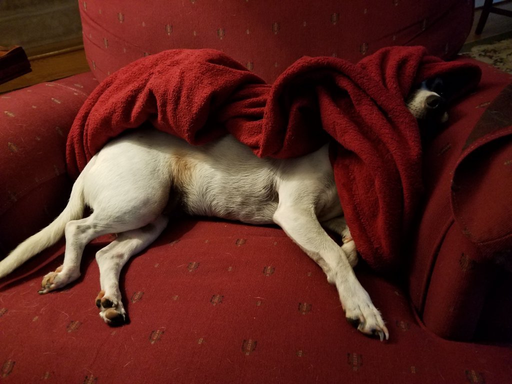 20161118_151628.jpg
