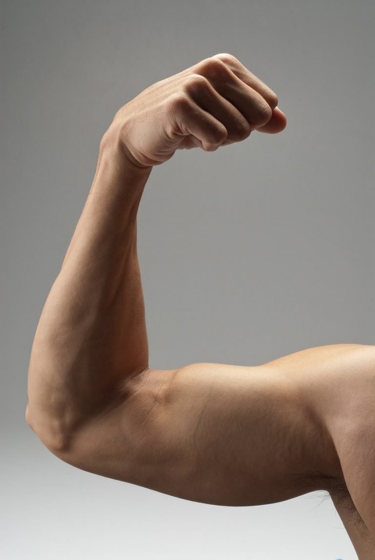 2017-08-30_Biceps-768x1148.jpg