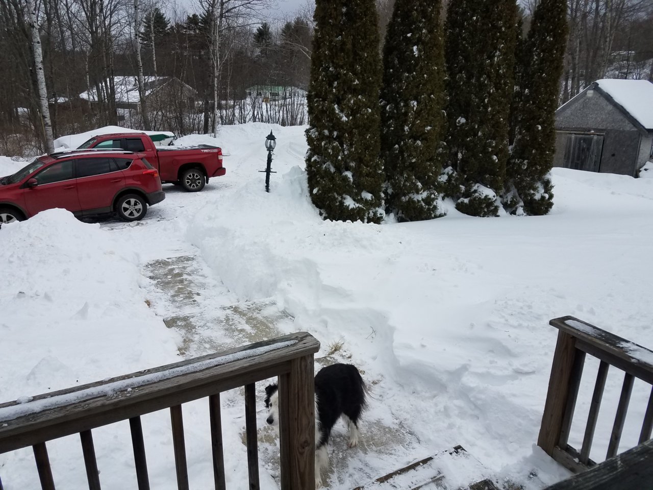 20170215_102706.jpg