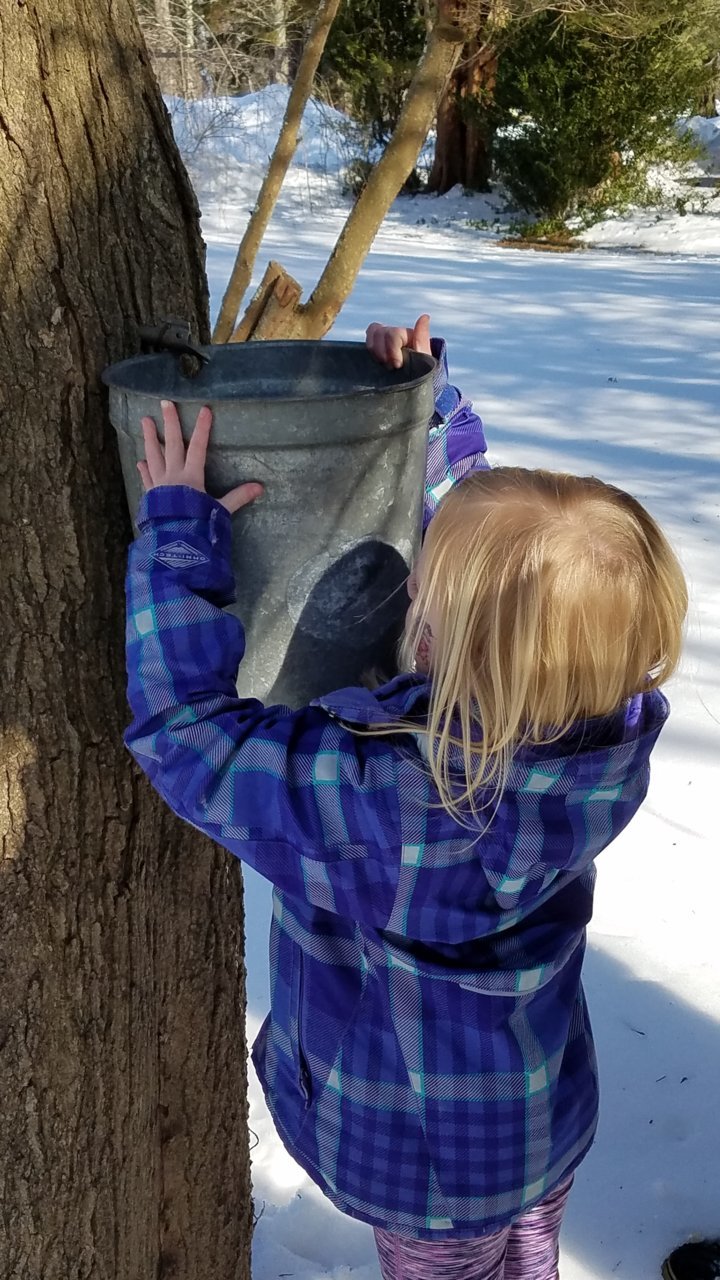 20170218_134948.jpg