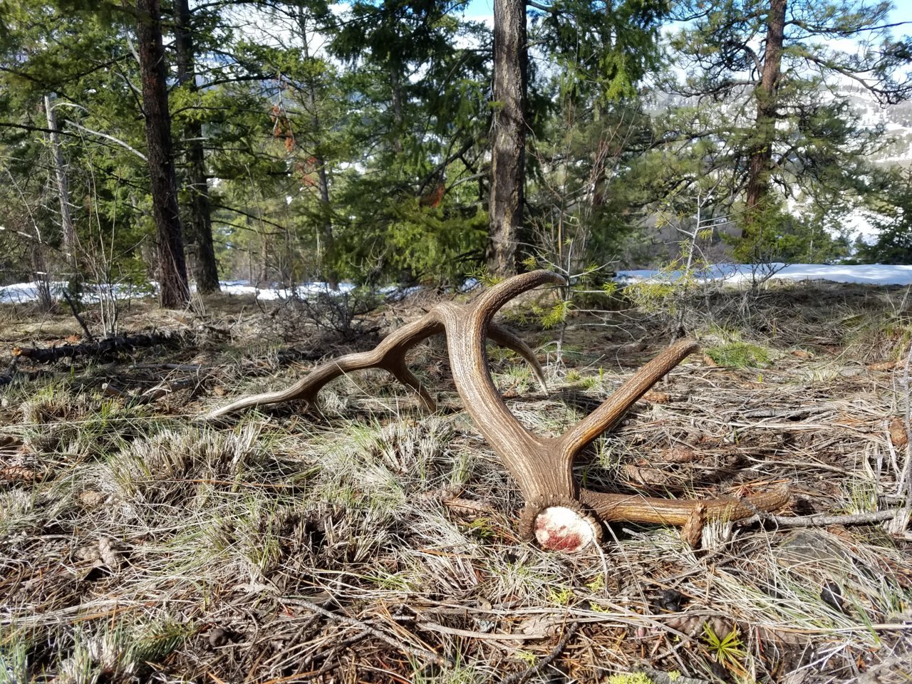 20170325_103841.jpg