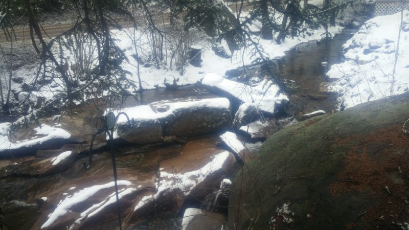 20170401_133951.jpg